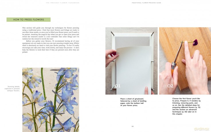 The Pressed Flower Handbook: Simple Methods for Connecting with Nature and Preserving the Beauty of the Garden through the Seasons - Grow, Gather, Press, Create - Sarah Holland [KSIĄŻKA]