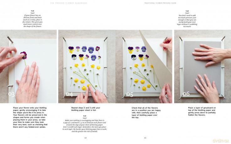 The Pressed Flower Handbook: Simple Methods for Connecting with Nature and Preserving the Beauty of the Garden through the Seasons - Grow, Gather, Press, Create - Sarah Holland [KSIĄŻKA]