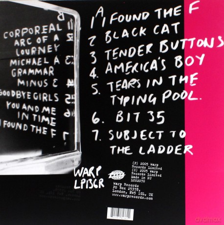 Broadcast: Tender Buttons [Winyl]