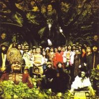 Devendra Banhart: Cripple Crow [2xWinyl]
