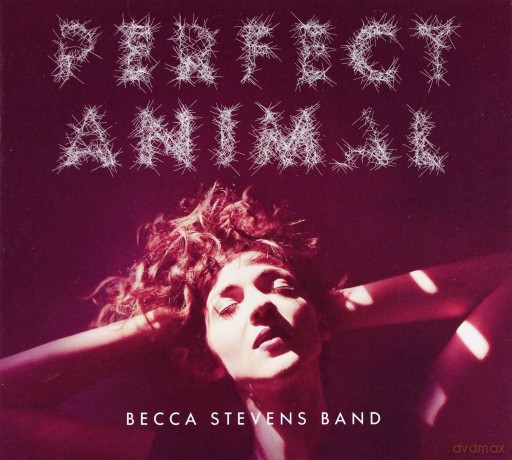 Becca Stevens: Perfect Animal [CD]