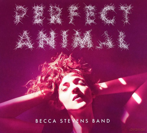 Becca Stevens: Perfect Animal [CD]