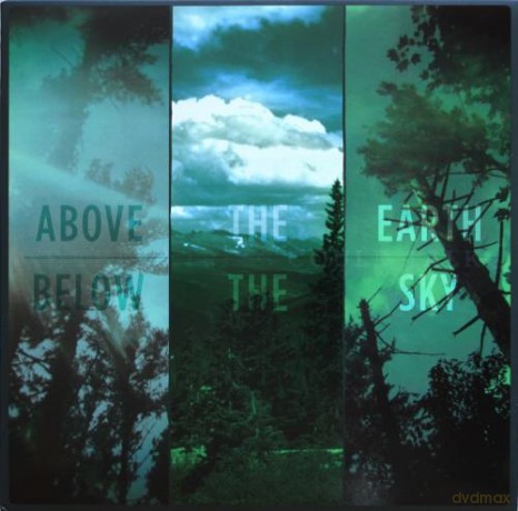 If These Trees Could Talk: Above The Earth Below The Sky [CD]