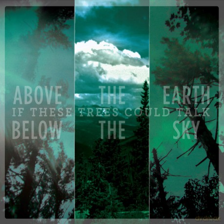 If These Trees Could Talk: Above The Earth Below The Sky [CD]