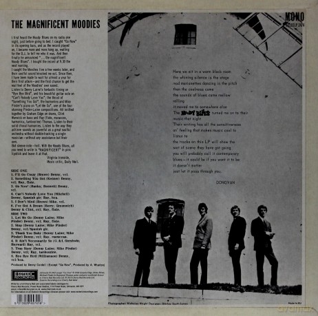 The Moody Blues: The Magnificent Moodies [Winyl]