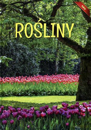 Encyklopedia Fakty. Rośliny [KSIĄŻKA]