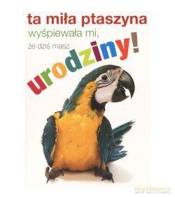Karnet kukartka "Ta miła ptaszyna wyśpiewała mi, że dziś masz urodziny!" PP-1437