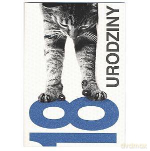 Karnet Złoty 2786 18 urodziny