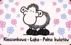 Karta Kieszonkowa-Łąka-Pełna kwiatów 608920