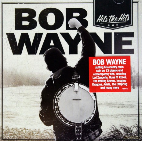 Bob Wayne: Hits The Hits [CD]