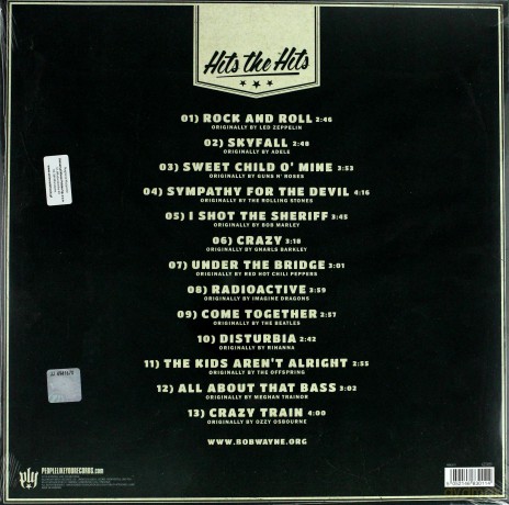Bob Wayne: Hits The Hits [Winyl]