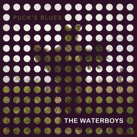 The Waterboys: Puck's Blues [Winyl]