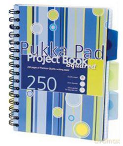 Kołozeszyt A5/250 kartek kratka/linia Project Book niebieski