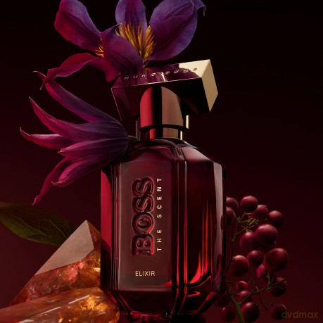Boss The Scent Elixir Intense For Her - parfém - Volume: 50 ml