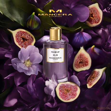 Fig Me Up - EDP - Volume: 120 ml