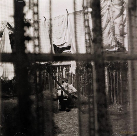Paul Mccartney: Chaos And Creation In The Backyard [CD]