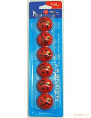 Magnesy do tablic GM301-TC6