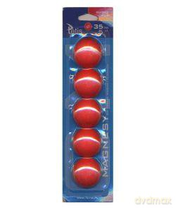 Magnesy do tablic GM302-PC5