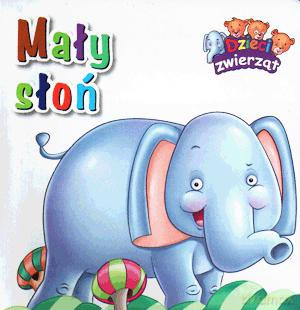 Mały słoń. Dzieci zwierząt [KSIĄŻKA]