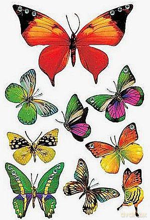 Naklejki Magic motyl