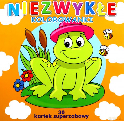 Niezwykłe kolorowanki. 30 kartek superzabawy [KSIĄŻKA]