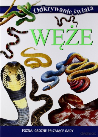 Odkrywanie świata. Węże [KSIĄŻKA]