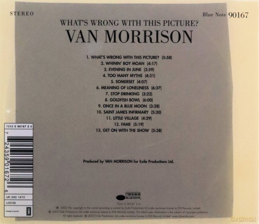 Van Morrison: Whats Wrong With This Picture [CD]