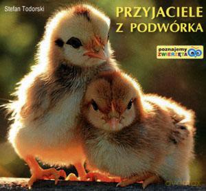 Poznajemy zwierzęta. Przyjaciele z podwórka - Stefan Todorski [KSIĄŻKA]