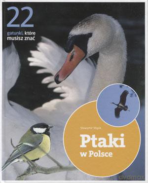 Ptaki w Polsce. 22 gatunki, które musisz znać [KSIĄŻKA]