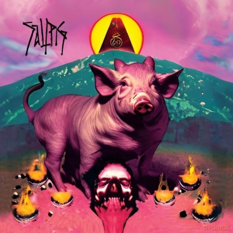 Saltpig: Saltpig (Transparent/Pink/Blue/Yellow Splatter) [Winyl]