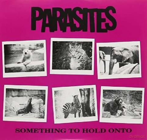 Parasites: Something To Hold On To [Winyl]