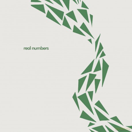 Real Numbers: Was It Always This Way [Winyl]