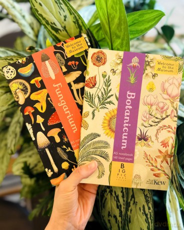 Botanicum A5 Notebook: A luxury gold-foiled Welcome to the Museum journal