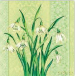 Serwetki 33 x 33 cm SLWI 001401