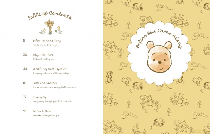 Disney Winnie the Pooh Baby Book: A Keepsake Memory Journal for Your Baby's First Years