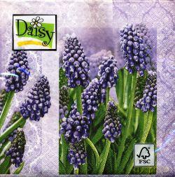 Serwetki Daisy 33 x 33 cm SDOG 007801