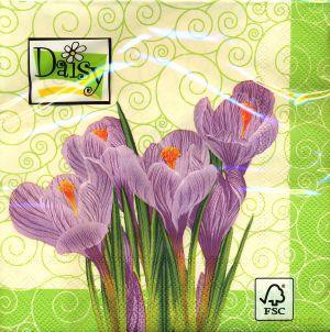 Serwetki Daisy 33 x 33 cm SDWI 001001