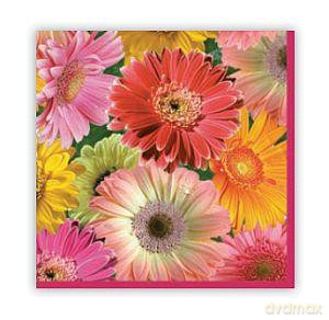 Serwetki Maki 33x33 cm SLOG 007601 Gerbery