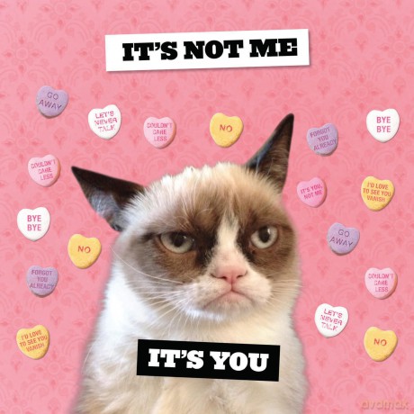 Grumpy Cat 2027 Wall Calendar - Grumpy Cat [KALENDARZ]