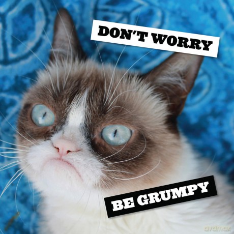 Grumpy Cat 2027 Wall Calendar - Grumpy Cat [KALENDARZ]