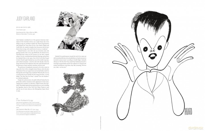 Hirschfeld's Icons: A Poster Book - David Leopold [PLAKAT]