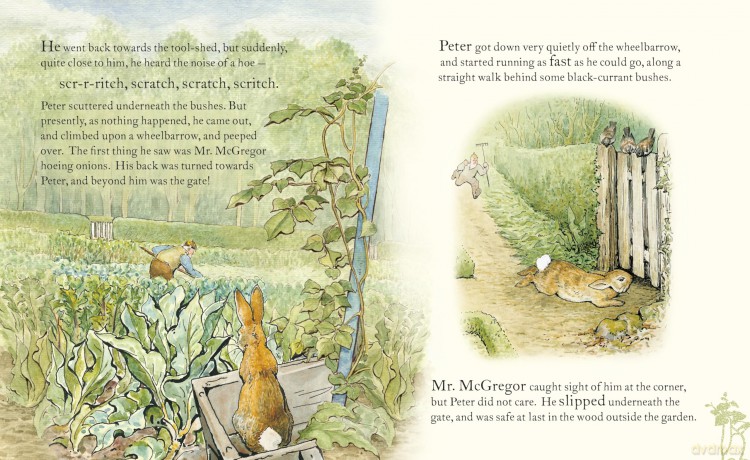 Peter Rabbit: Book and Toy Gift Set: The perfect present for babies and toddlers - Beatrix Potter