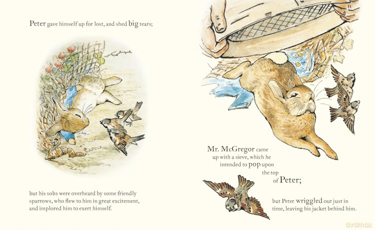 Peter Rabbit: Book and Toy Gift Set: The perfect present for babies and toddlers - Beatrix Potter