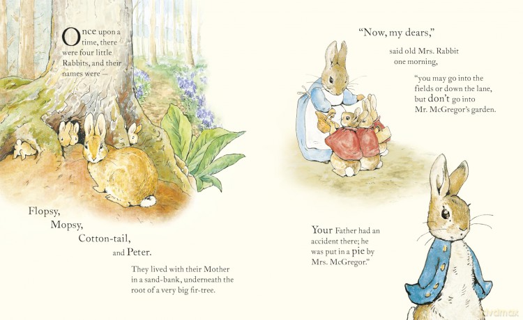 Peter Rabbit: Book and Toy Gift Set: The perfect present for babies and toddlers - Beatrix Potter