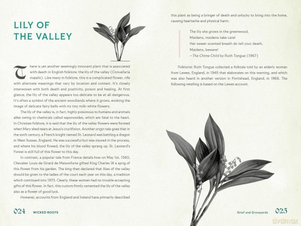 Wicked Roots: Forgotten Folklore and Ancient Myths of Familiar Plants - Lauren Moss [KSIĄŻKA]