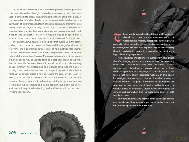 Wicked Roots: Forgotten Folklore and Ancient Myths of Familiar Plants - Lauren Moss [KSIĄŻKA]