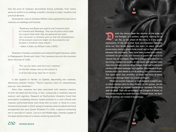 Wicked Roots: Forgotten Folklore and Ancient Myths of Familiar Plants - Lauren Moss [KSIĄŻKA]
