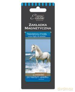 Zakładka magnetyczna ZK-090
