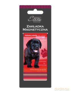 Zakładka magnetyczna ZK-107