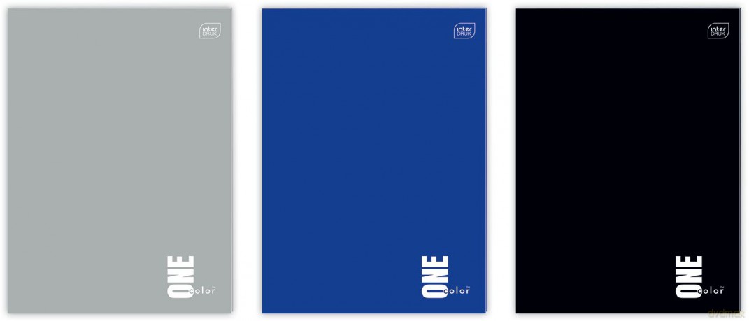 Zeszyt w linie A4 One Color 32 kartki